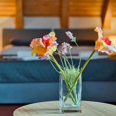 U Lípy Hotel 3*